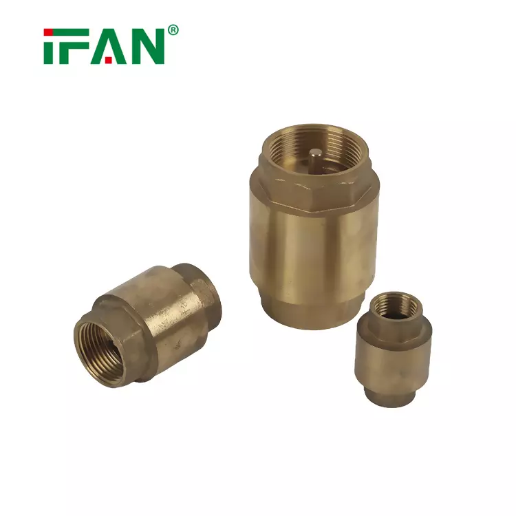 brass check valve