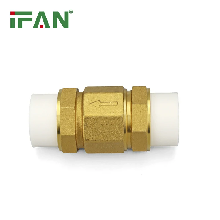 PPR Check Valve