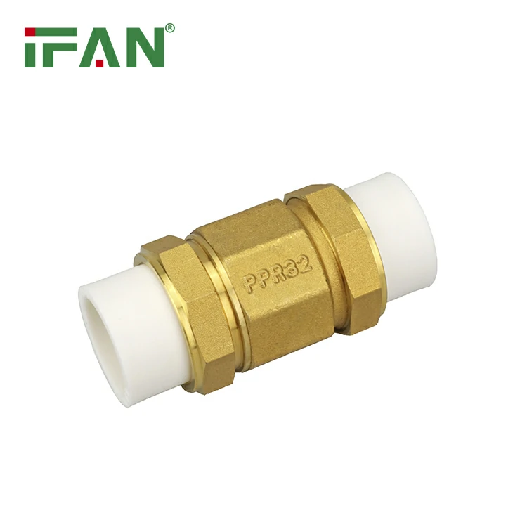 PPR Check Valve