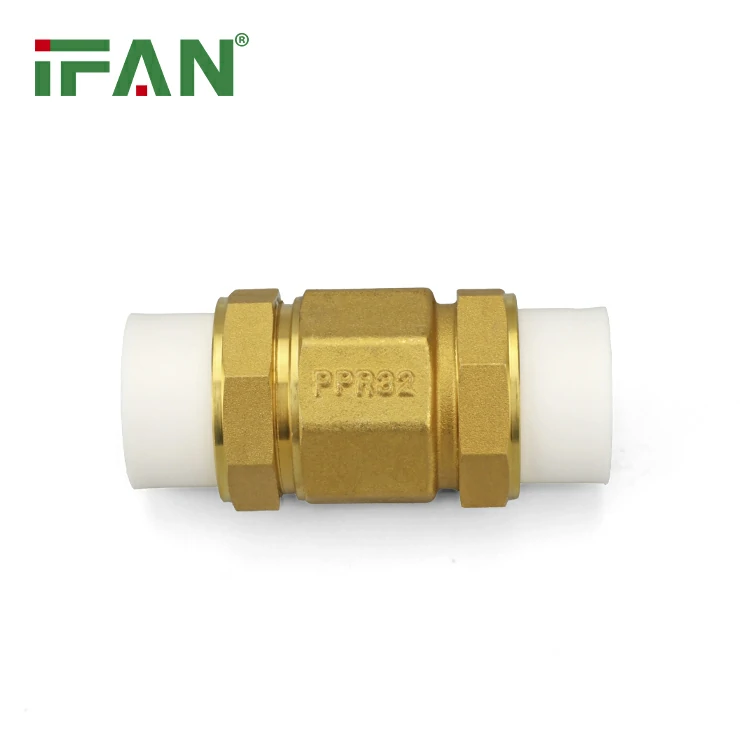 PPR Check Valve