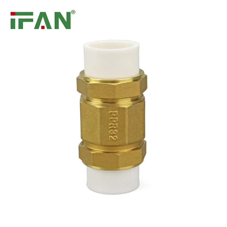 PPR Check Valve