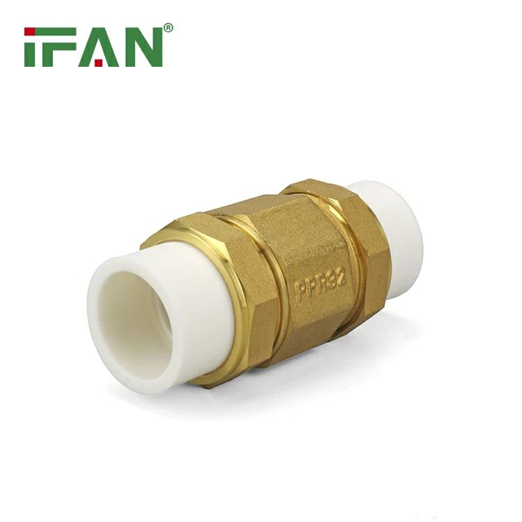 PPR Check Valve