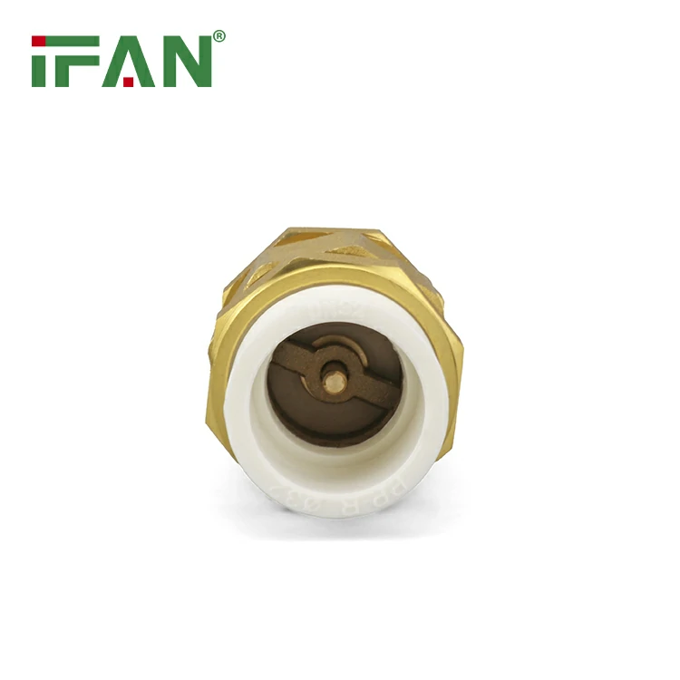PPR Check Valve