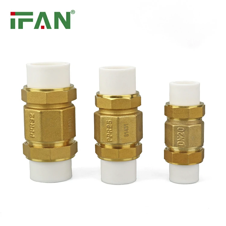 PPR Check Valve