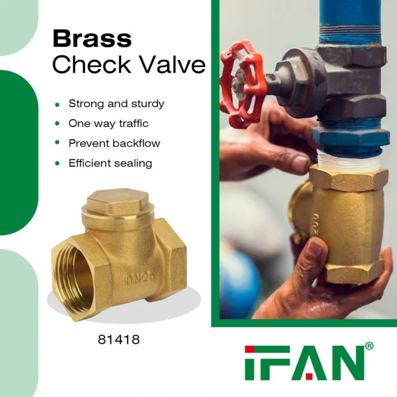 Brass Check Valve