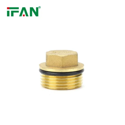 Brass Fittings