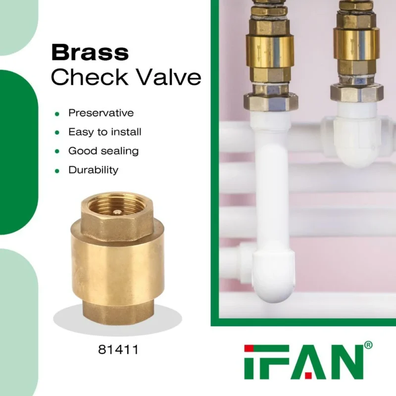 Brass Check Valve