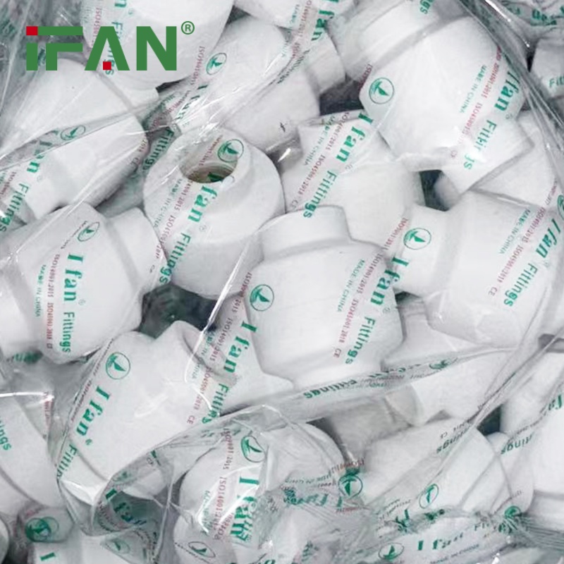 PPR Check Valve